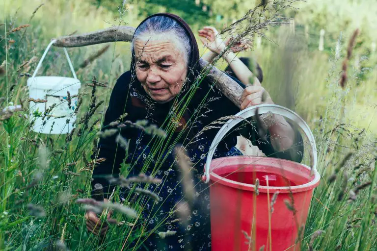 120 Funny Birthday Wishes For Grandmother